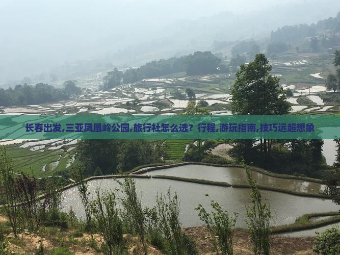 长春出发三亚凤凰岭公园旅行社