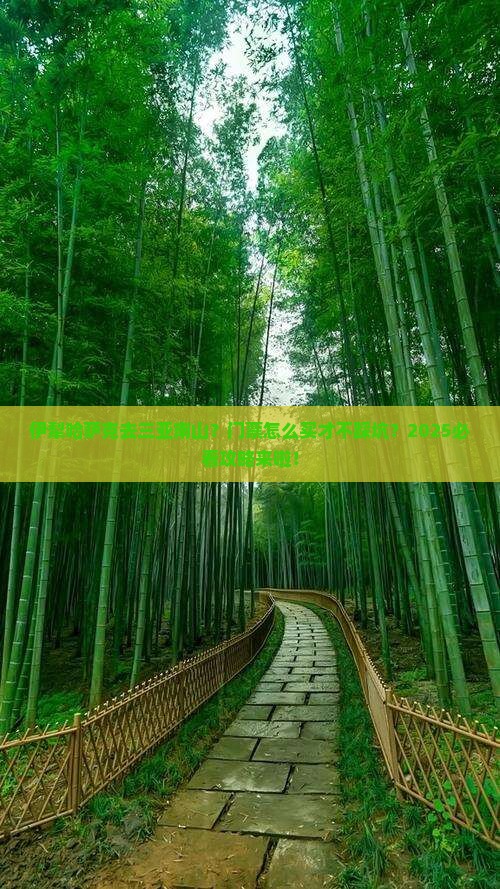 伊犁哈萨克前往三亚南山文化旅游区门票