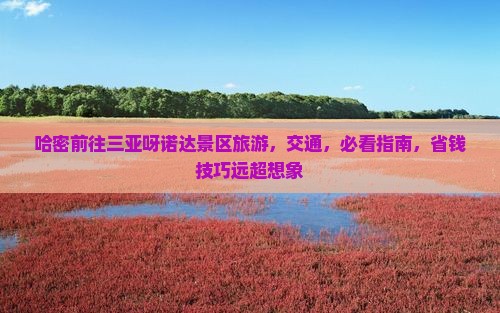 哈密前往三亚呀诺达景区旅游