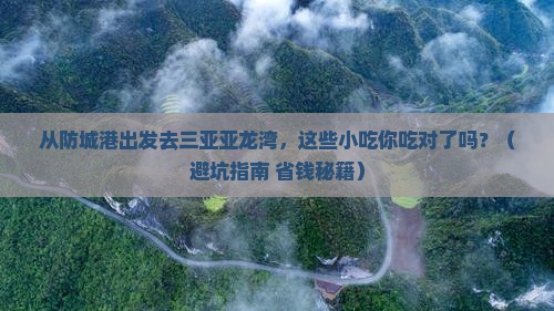 防城港出发三亚亚龙湾旅游小吃