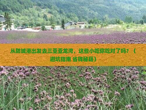 防城港出发三亚亚龙湾旅游小吃
