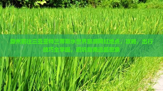 滁州前往三亚亚特兰蒂斯水世界旅游网红地点