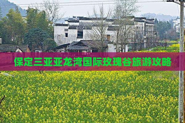 保定去三亚亚龙湾国际玫瑰谷旅游打卡点