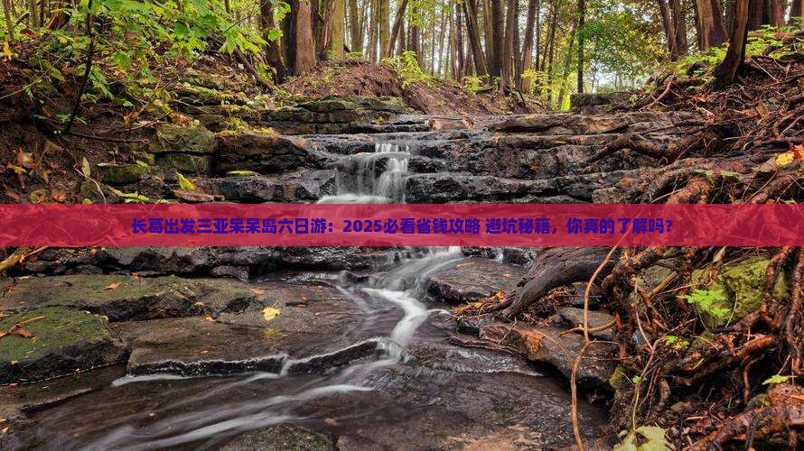 长葛出发三亚呆呆岛六日游