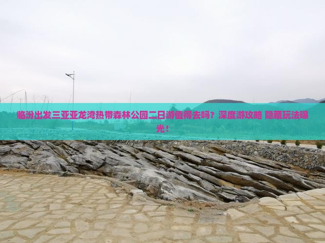 临汾出发三亚亚龙湾热带森林公园二日游