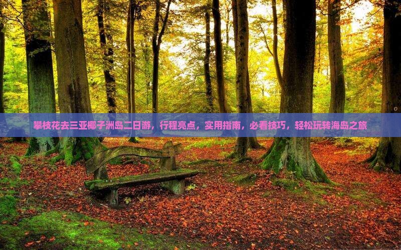 攀枝花去三亚椰子洲岛二日游