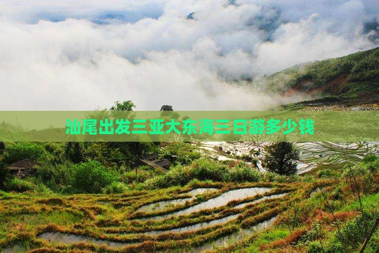 汕尾出发三亚大东海三日游