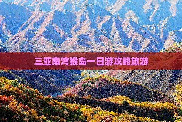 果洛去三亚南湾猴岛一日游