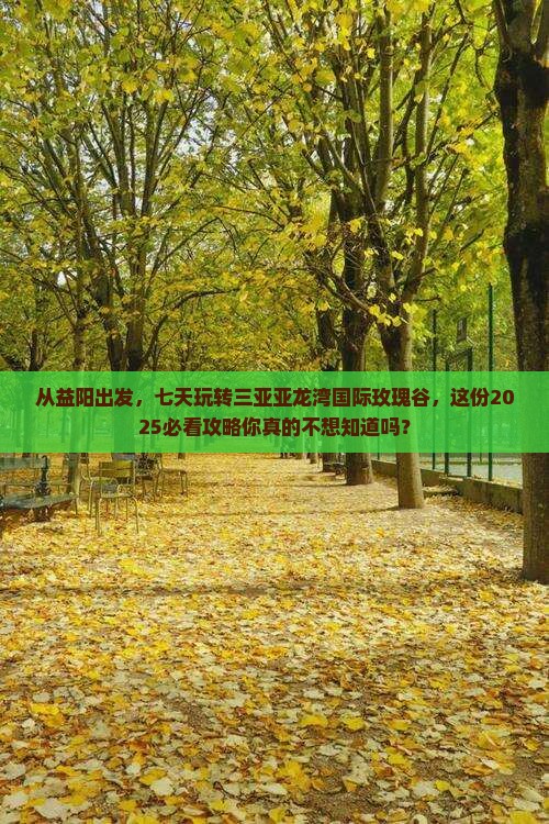 益阳出发三亚亚龙湾国际玫瑰谷七日游