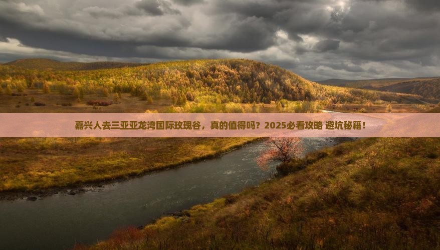 嘉兴去三亚亚龙湾国际玫瑰谷旅游