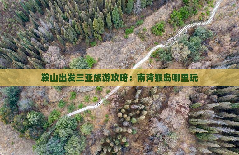 鞍山出发三亚南湾猴岛哪里玩