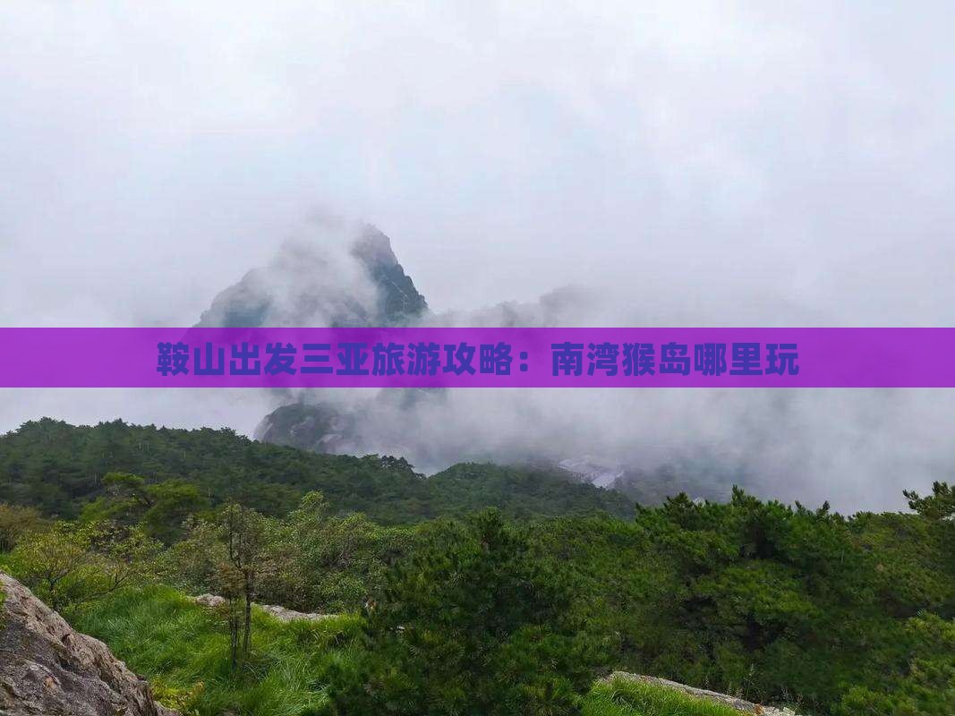 鞍山出发三亚南湾猴岛哪里玩