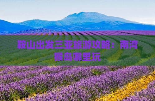 鞍山出发三亚南湾猴岛哪里玩