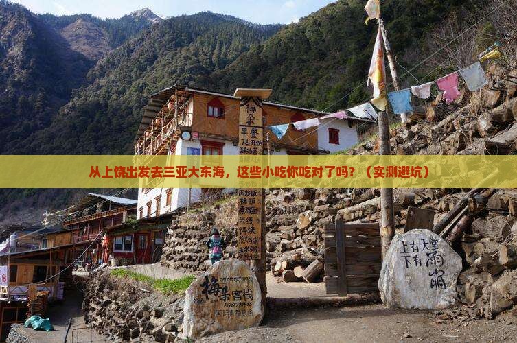 上饶出发三亚大东海旅游小吃
