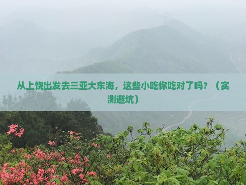 上饶出发三亚大东海旅游小吃