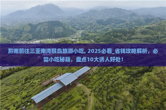 黔南前往三亚南湾猴岛旅游小吃