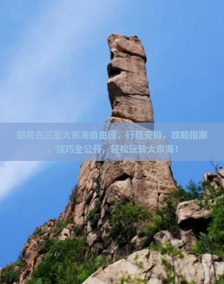 阳泉去三亚大东海自由团