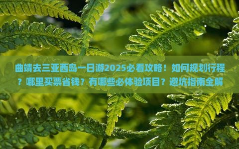 曲靖去三亚西岛一日游