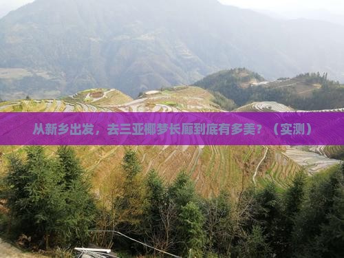 新乡去三亚椰梦长廊旅游打卡点