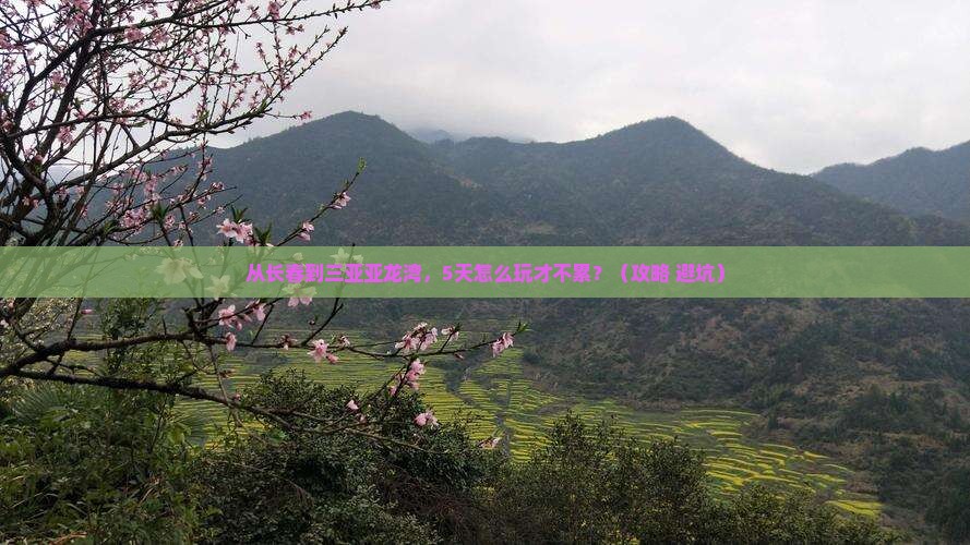 长春出发三亚亚龙湾五日游