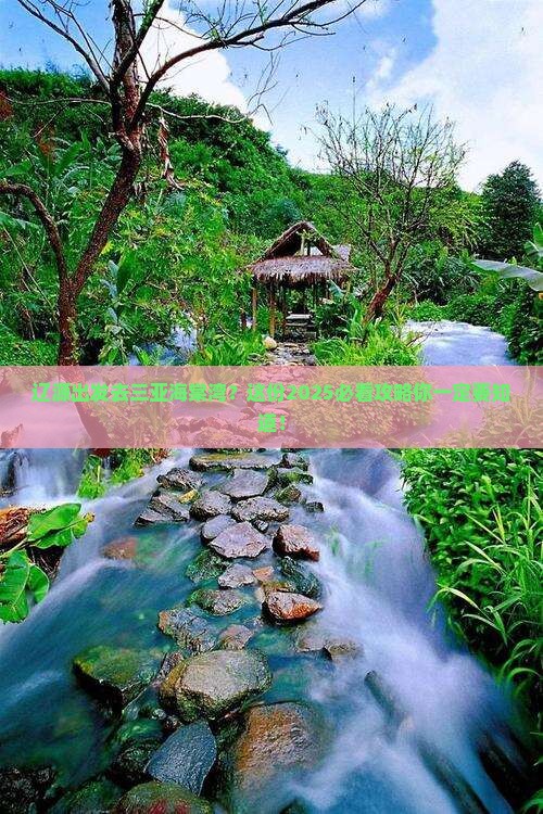 辽源前往三亚海棠湾旅行社