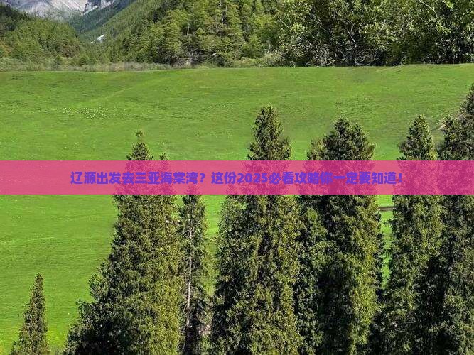 辽源前往三亚海棠湾旅行社