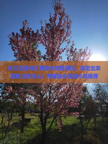 去三亚亚特兰蒂斯水族馆游玩，德宏出发需要注意什么？有哪些必吃的小吃推荐？