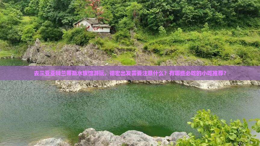去三亚亚特兰蒂斯水族馆游玩，德宏出发需要注意什么？有哪些必吃的小吃推荐？