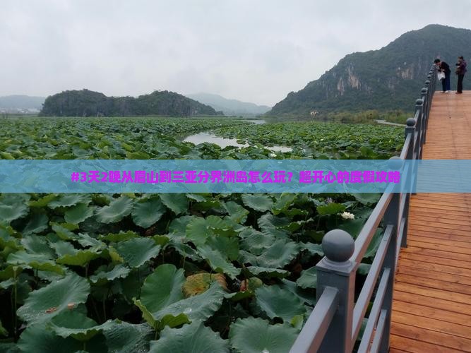 #3天2晚从眉山到三亚分界洲岛怎么玩？超开心的度假攻略