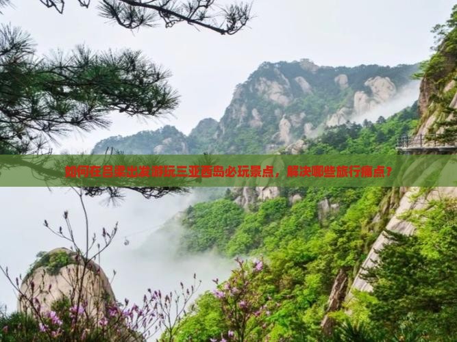 如何在吕梁出发游玩三亚西岛必玩景点，解决哪些旅行痛点？