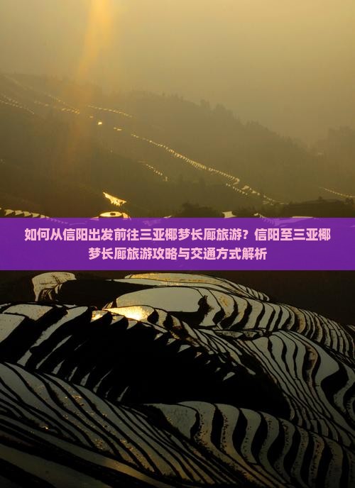 如何从信阳出发前往三亚椰梦长廊旅游？信阳至三亚椰梦长廊旅游攻略与交通方式解析