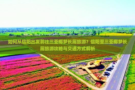 如何从信阳出发前往三亚椰梦长廊旅游？信阳至三亚椰梦长廊旅游攻略与交通方式解析