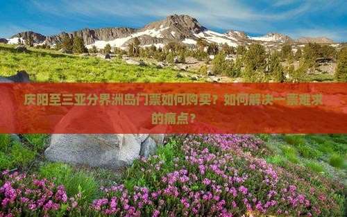 庆阳至三亚分界洲岛门票如何购买？如何解决一票难求的痛点？