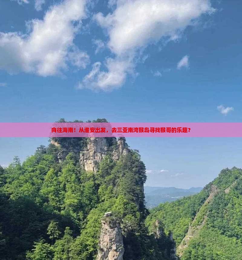 向往海南！从淮安出发，去三亚南湾猴岛寻找猴哥的乐趣？