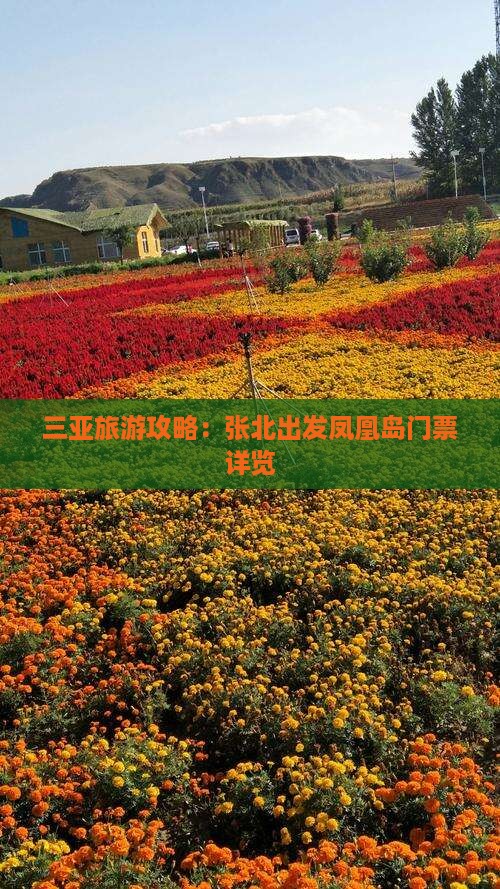 三亚旅游攻略：张北出发凤凰岛门票详览