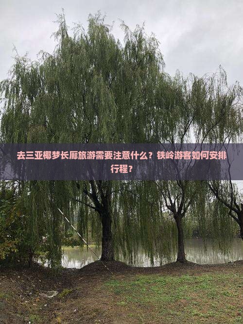 去三亚椰梦长廊旅游需要注意什么？铁岭游客如何安排行程？
