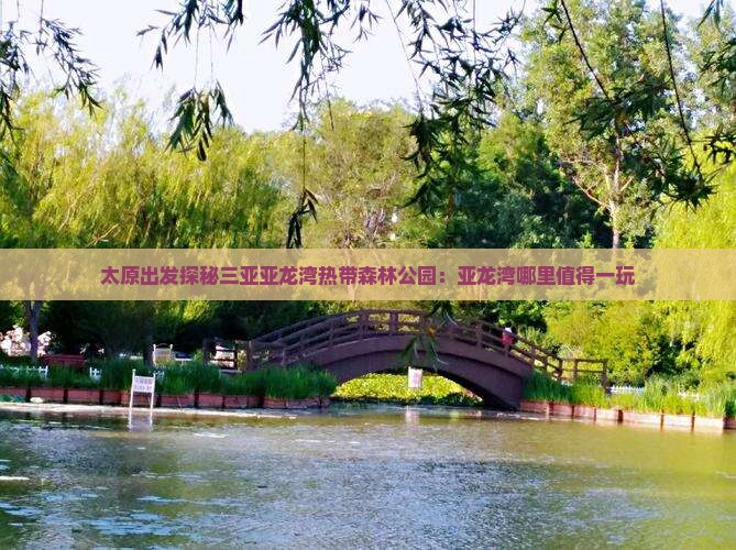 太原出发探秘三亚亚龙湾热带森林公园：亚龙湾哪里值得一玩