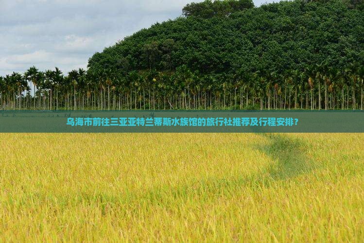 乌海市前往三亚亚特兰蒂斯水族馆的旅行社推荐及行程安排？