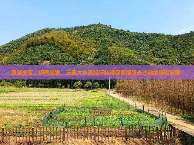 穿越冬夏，伊春出发，三亚大东海旅行社带你拥抱阳光沙滩的秘密旅程！