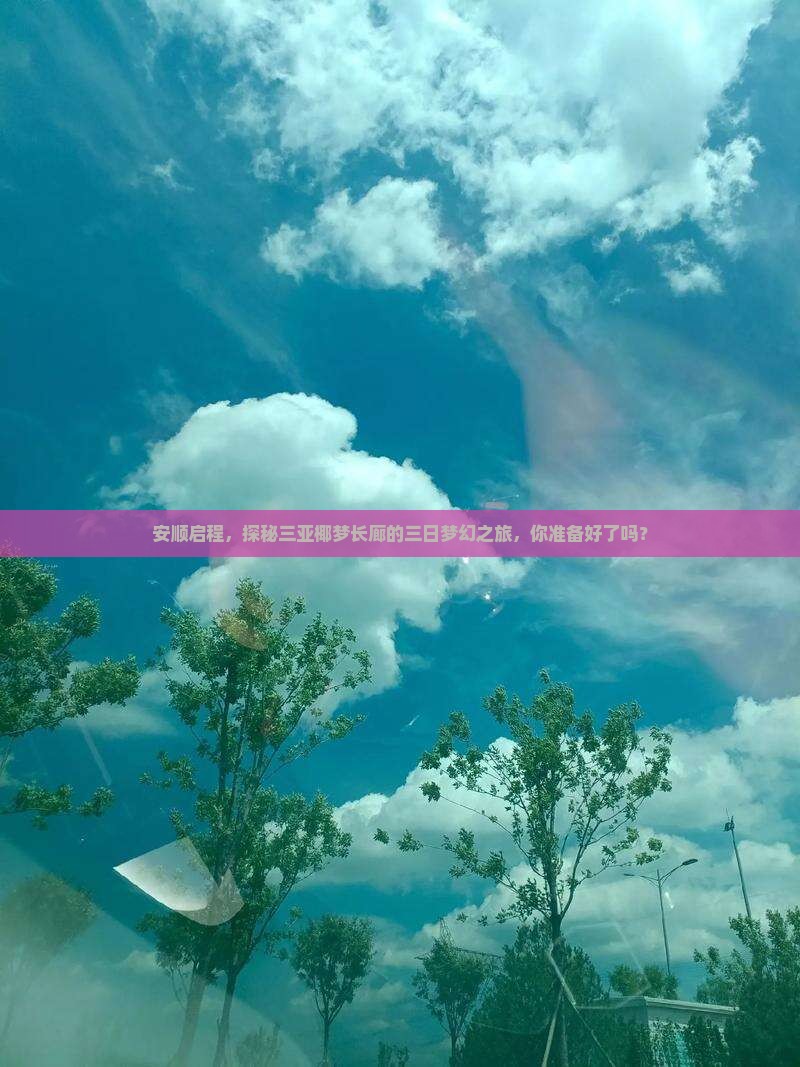 安顺启程，探秘三亚椰梦长廊的三日梦幻之旅，你准备好了吗？