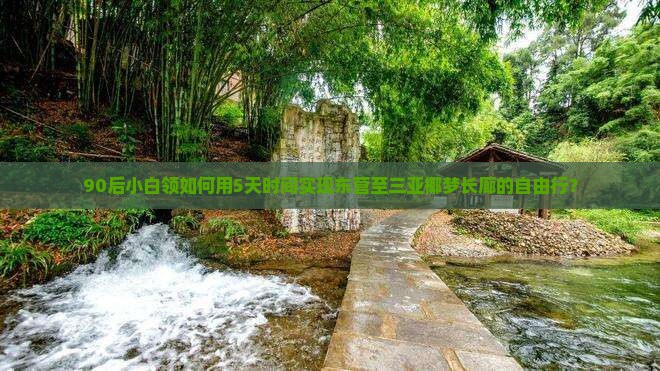 90后小白领如何用5天时间实现东营至三亚椰梦长廊的自由行？