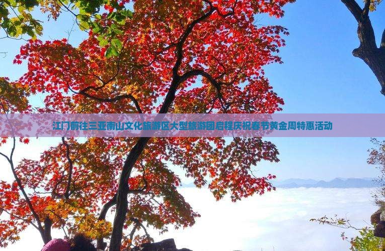 江门前往三亚南山文化旅游区大型旅游团启程庆祝春节黄金周特惠活动