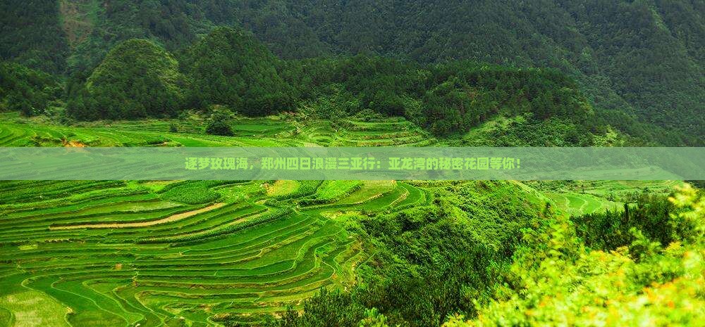 逐梦玫瑰海，郑州四日浪漫三亚行：亚龙湾的秘密花园等你！
