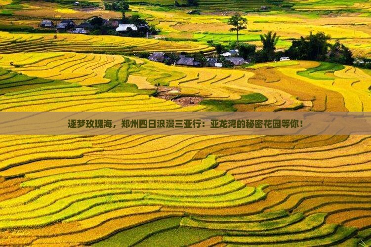 逐梦玫瑰海，郑州四日浪漫三亚行：亚龙湾的秘密花园等你！