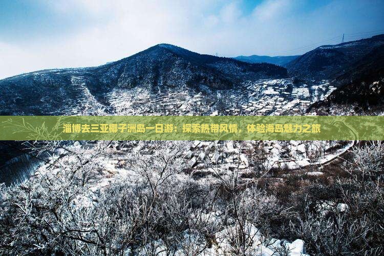淄博去三亚椰子洲岛一日游：探索热带风情，体验海岛魅力之旅