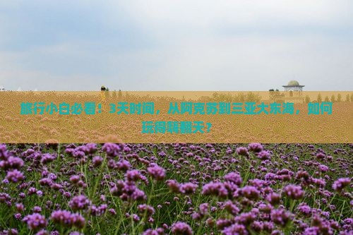 旅行小白必看！3天时间，从阿克苏到三亚大东海，如何玩得嗨翻天？