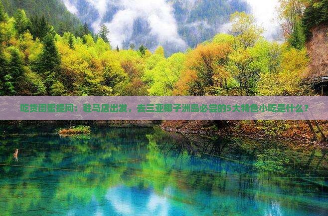 吃货闺蜜提问：驻马店出发，去三亚椰子洲岛必尝的5大特色小吃是什么？