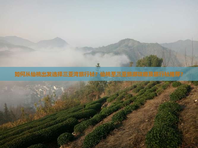 如何从仙桃出发选择三亚湾旅行社？仙桃至三亚旅游攻略及旅行社推荐？