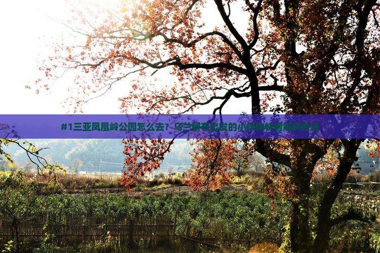 #1三亚凤凰岭公园怎么去？乌兰察布出发的小伙伴快看解决办法