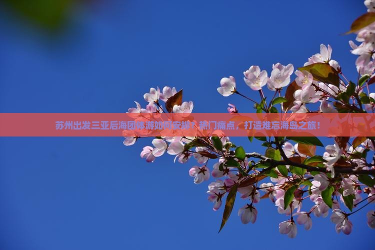 苏州出发三亚后海团体游如何安排？热门痛点，打造难忘海岛之旅！